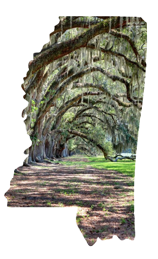 Interesting Facts Mississippi